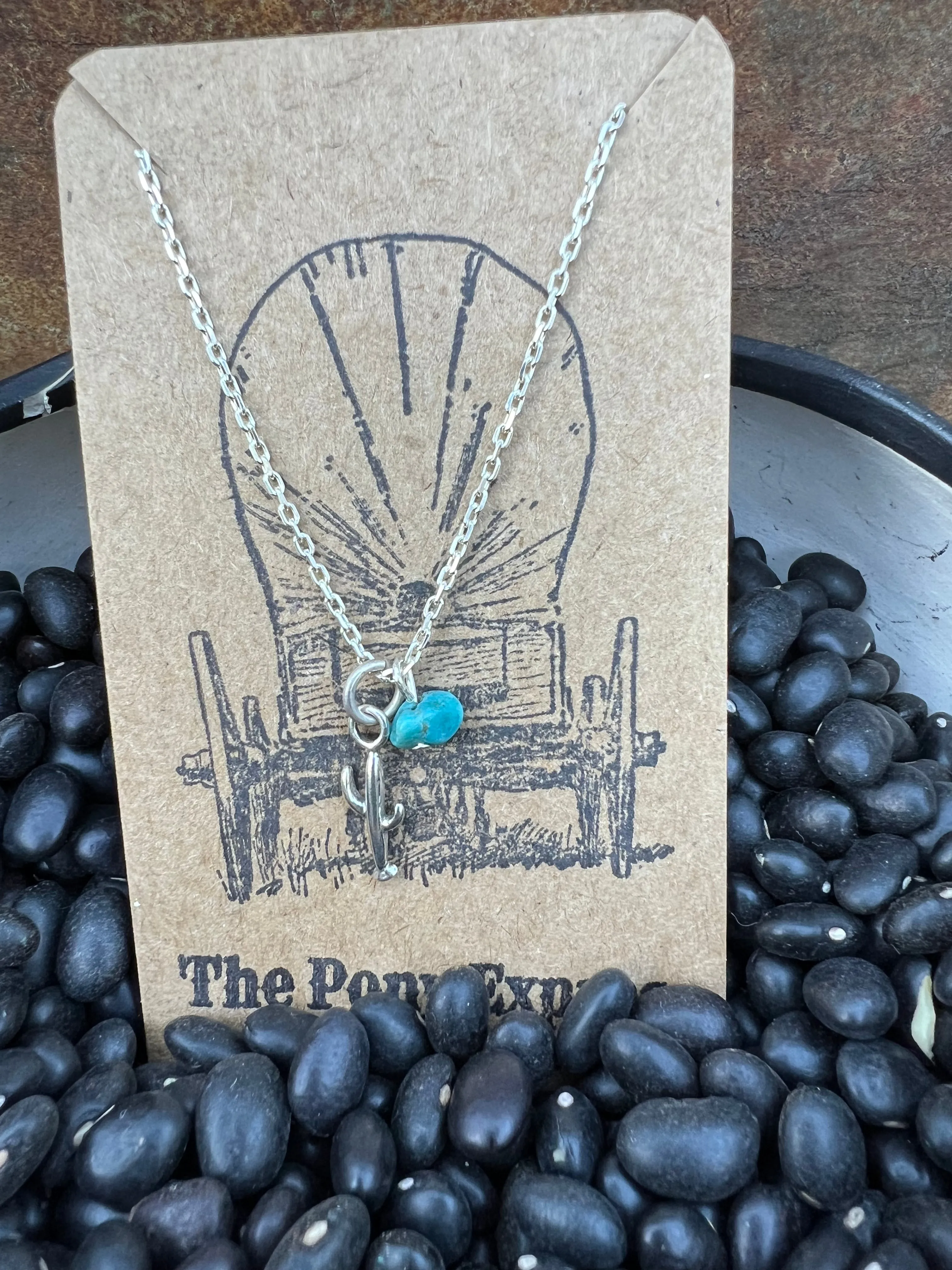 $25 Turquoise Charm Necklace